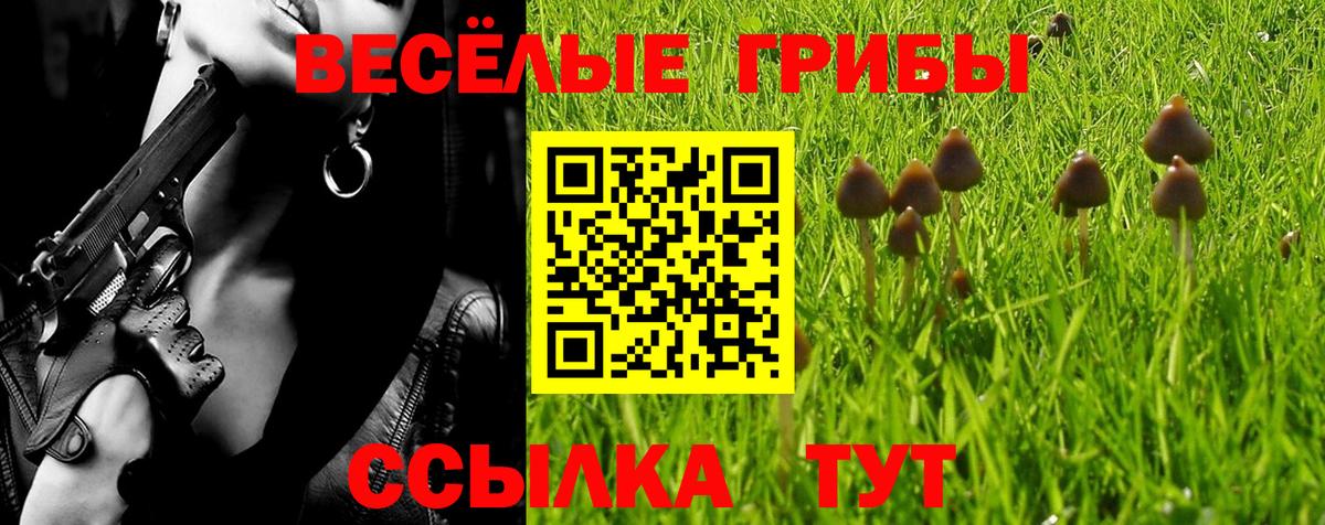 Псилоцибиновые грибы Magic Shrooms  Галлюциногенные грибы Cubensis  Сердобск  Вход с VPN 