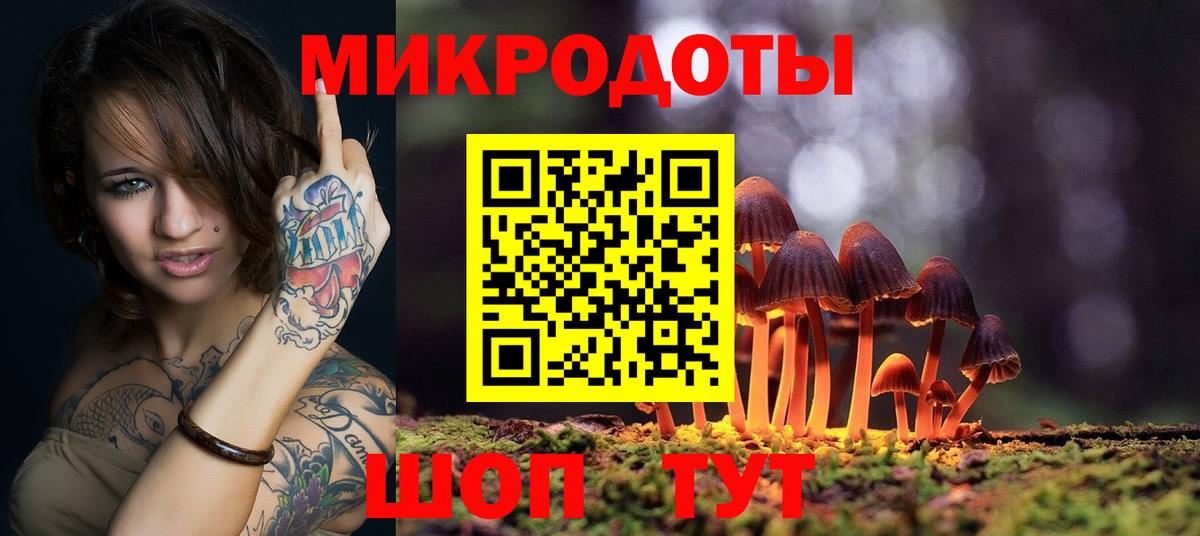 Псилоцибиновые грибы Psilocybine cubensis Сердобск